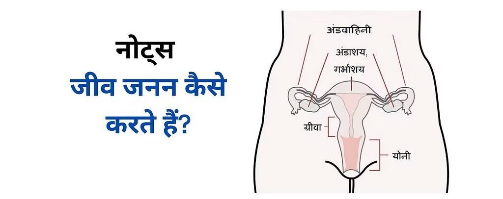 जीव जनन कैसे करते हैं