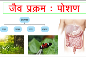 Chapter 6: जैव प्रक्रम