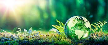 The Book That Saved the Earth